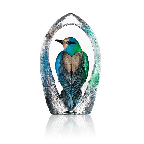 Colorina Ltd Ed