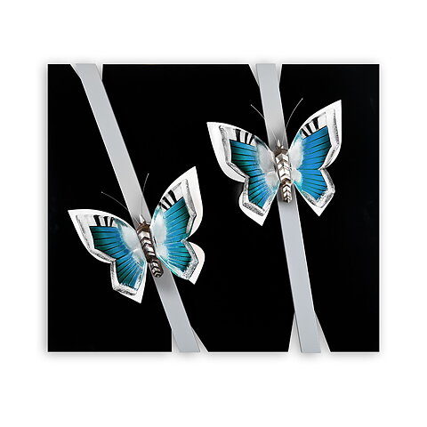 Ready to fly Ltd Ed