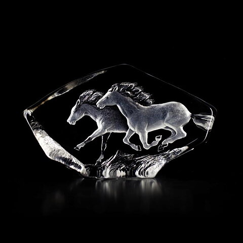 Horses