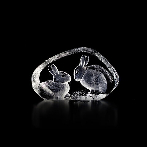 Rabbits