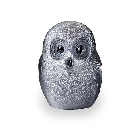 Owlet