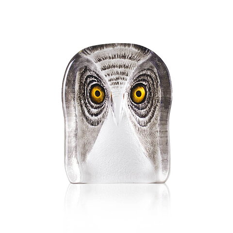 Owl (medium)