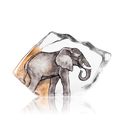 Elephant Ltd Ed
