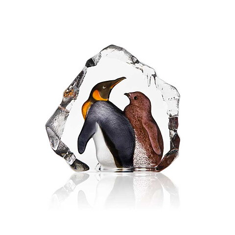 King Penguin with baby
