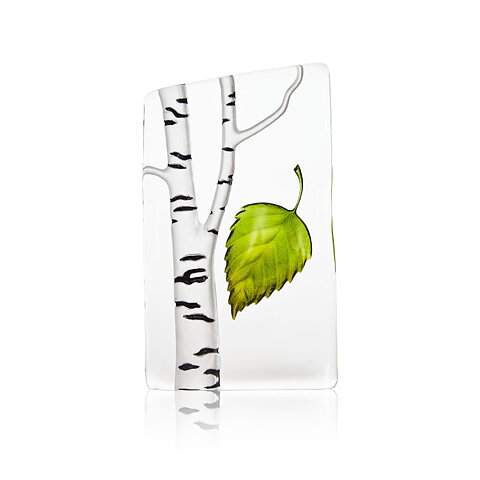 Birch Tree (small)