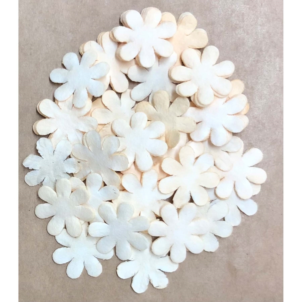 Blomma, Creme. 100p