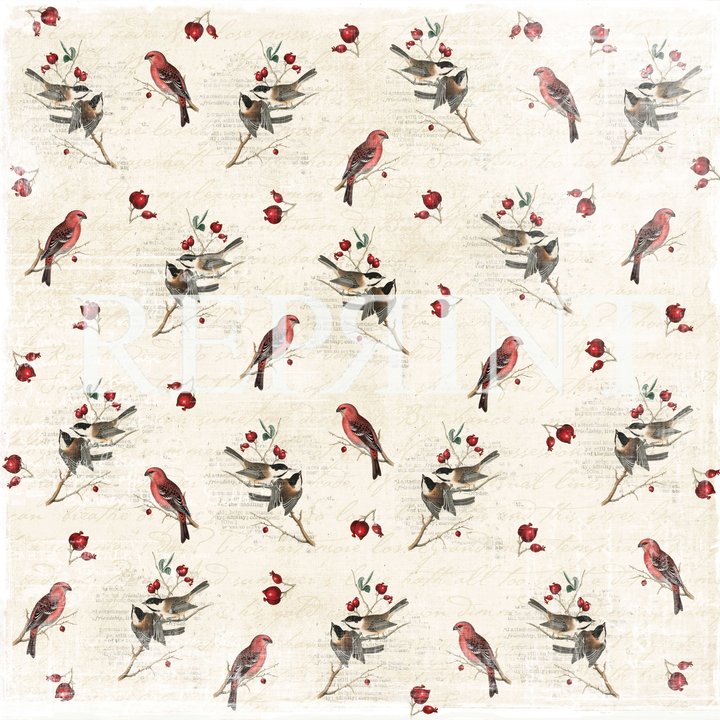 Nordic Light Collection. Birds