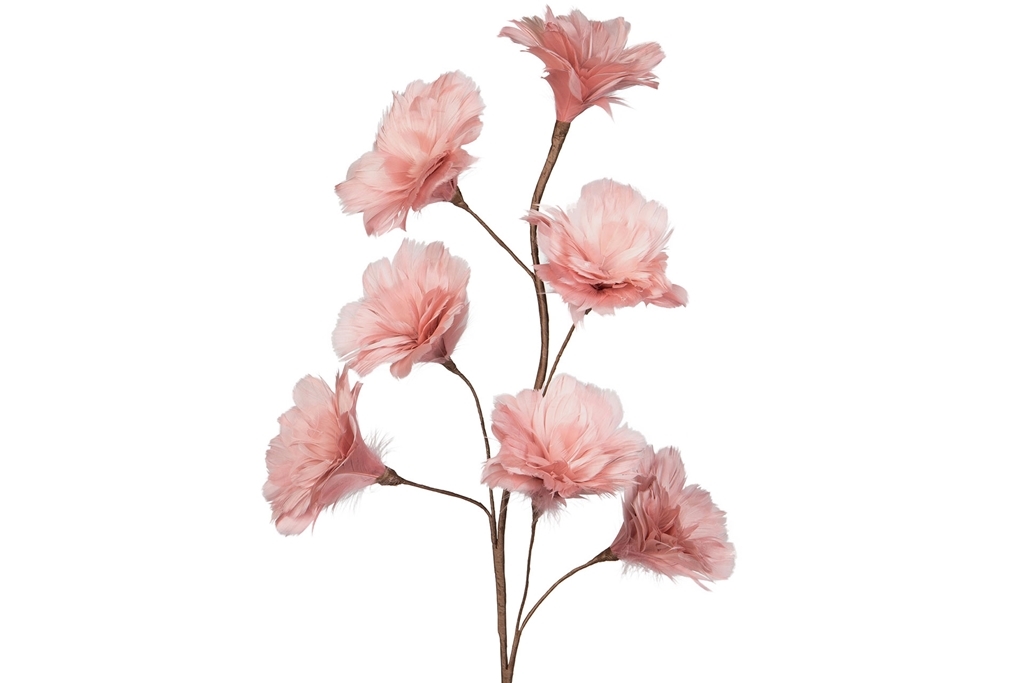 Kvist Fjäderblomma Gammelrosa
