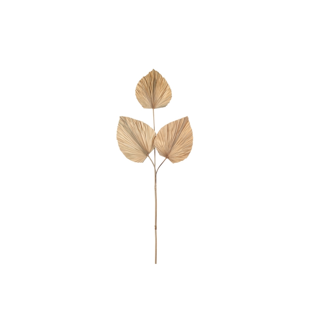 Torkade Blad