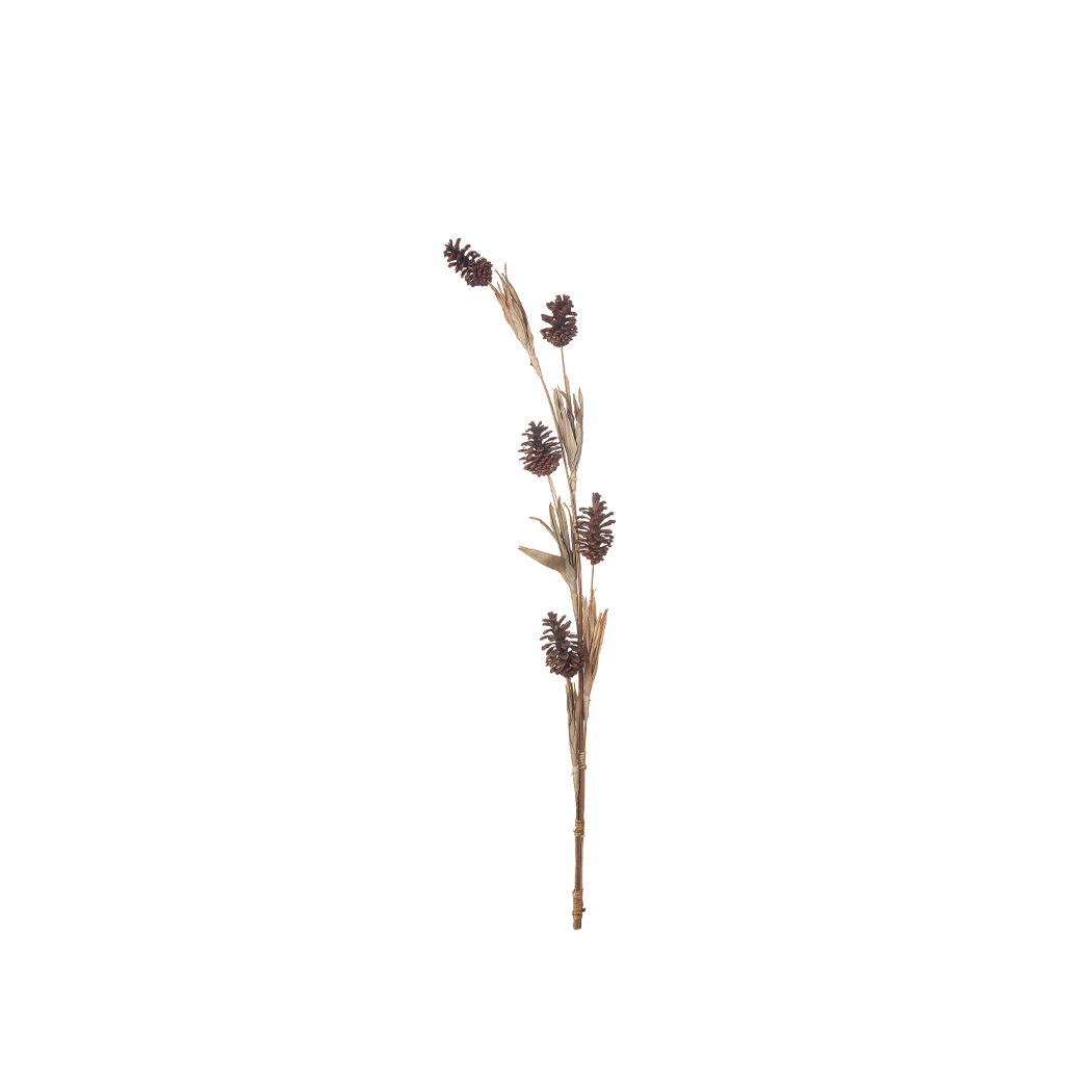 Torkade Blad & Kottar - 2
