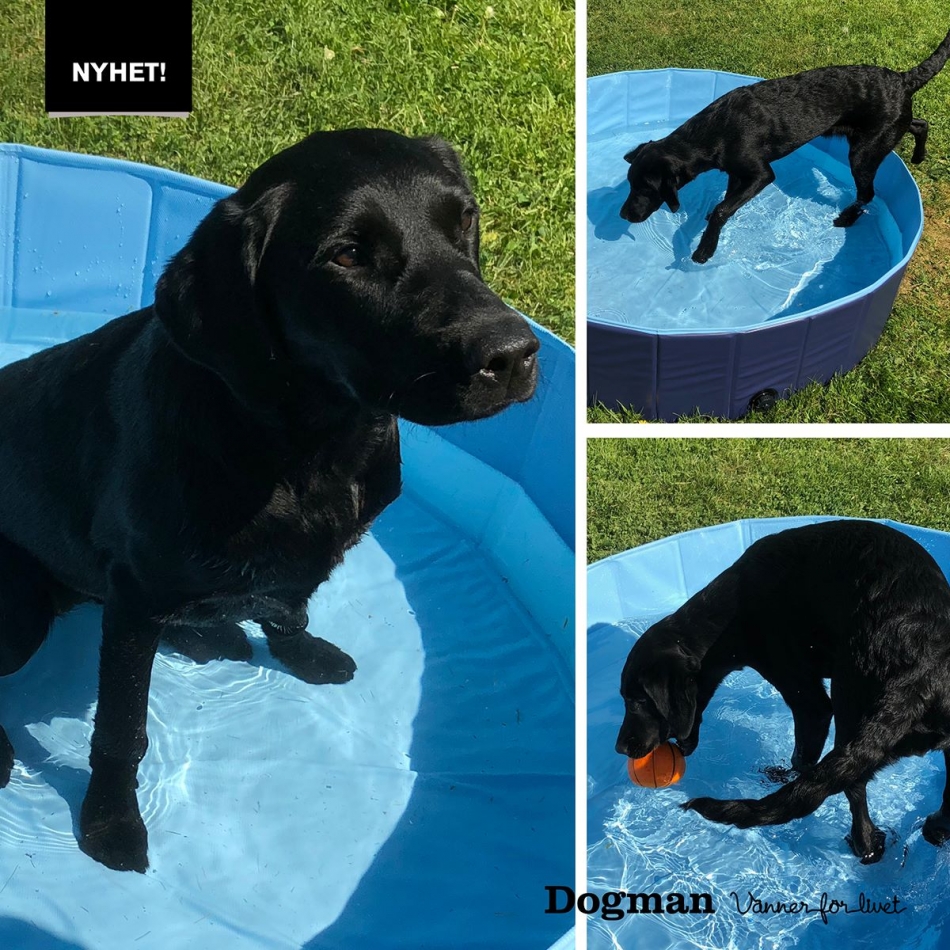 Dogman Hundpool - 5