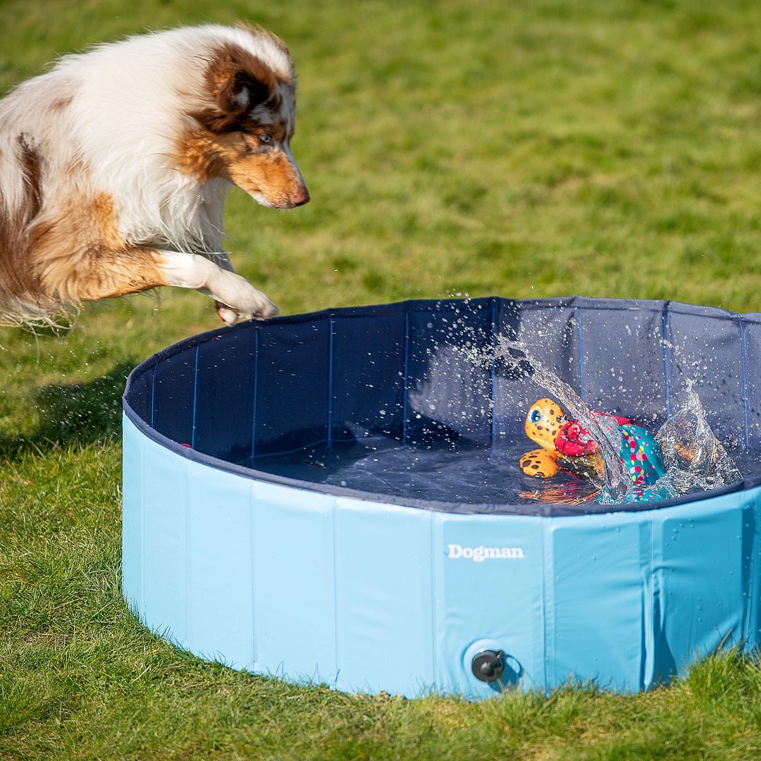 Dogman Hundpool - 4