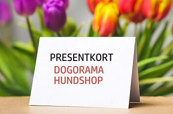 Presentkort