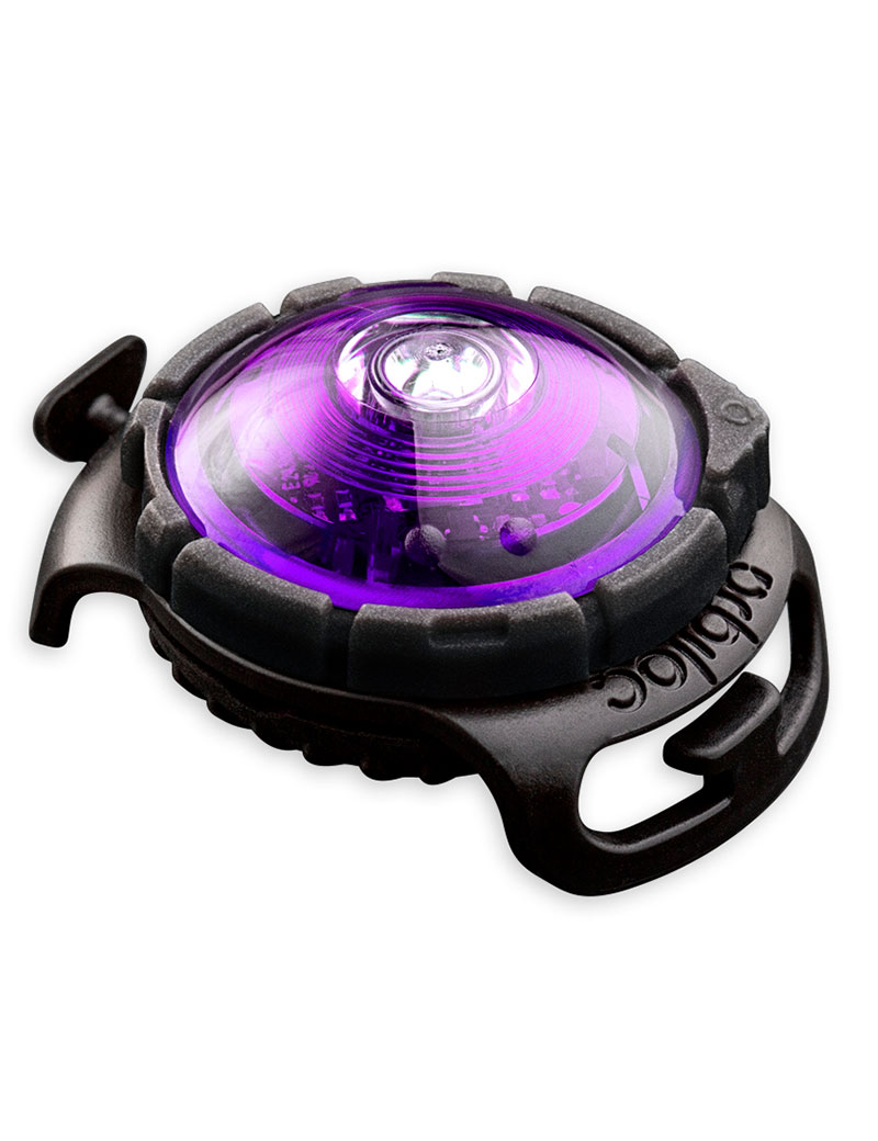 Orbiloc Dual Safety Light, Lila
