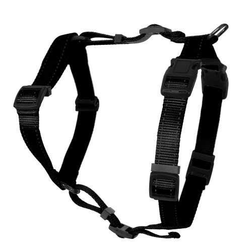 Dogman Justerbar H-Sele Iris med Reflex, Svart 