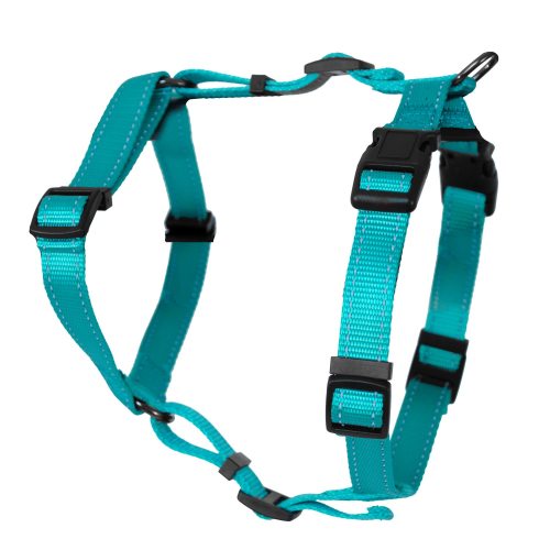 Dogman Justerbar H-Sele Iris med Reflex, Turkos 
