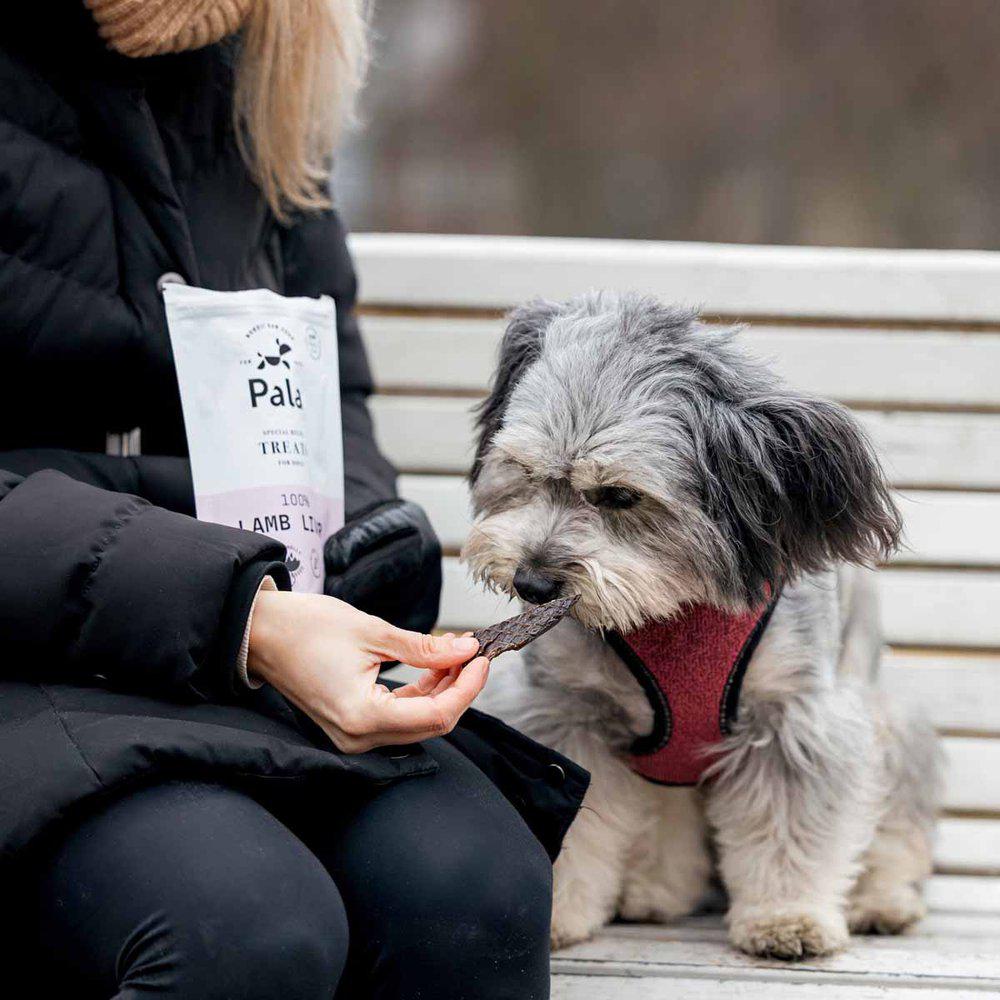 Pala Hundgodis 100% Lamb Liver 100g  - 2