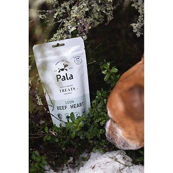 Pala Hundgodis 100% Beef Heart 100g 