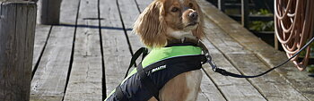 Baltic Hundflytväst Mascot, Grön
