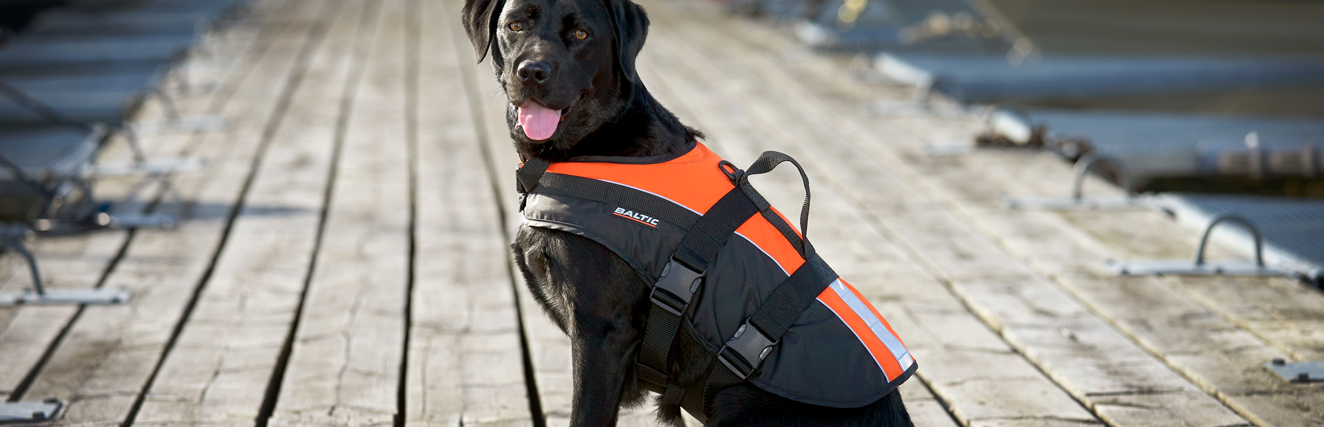 Baltic Hundflytväst Mascot, Orange - 2