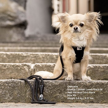 Curli Stretch Comfort Leash, Svart 
