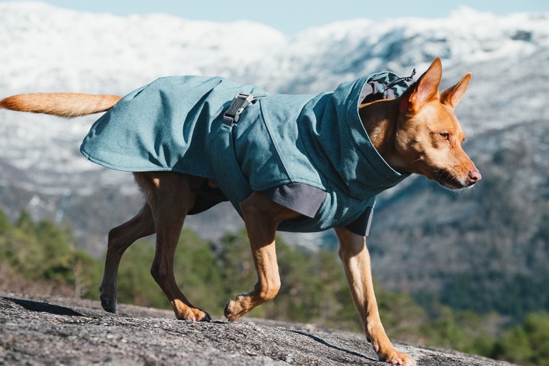 Hurtta Expedition Parka, Bilberry - 4