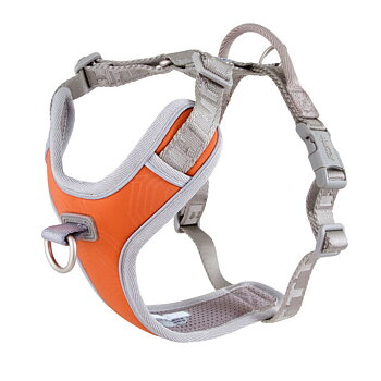 Hurtta Venture No-Pull Sele, Buckthorn