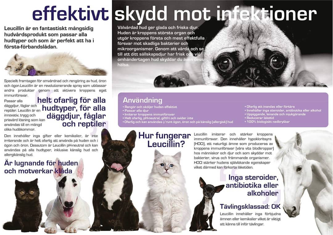 Leucillin Bakteriedödande Hudvårdsspray 250 ml - 2