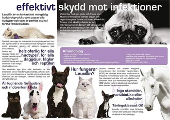 Leucillin Bakteriedödande Hudvårdsspray 250 ml
