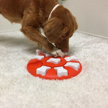 Nina Ottosson Dog Smart, Nivå 1 Aktiveringsleksak