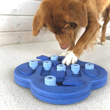 Nina Ottosson Dog Hide N' Slide Nivå 2 Aktiveringsleksak
