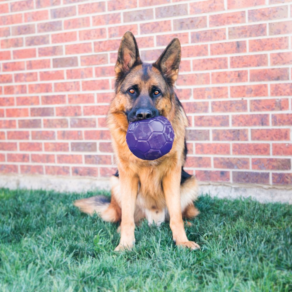 Kong Flexball - 3