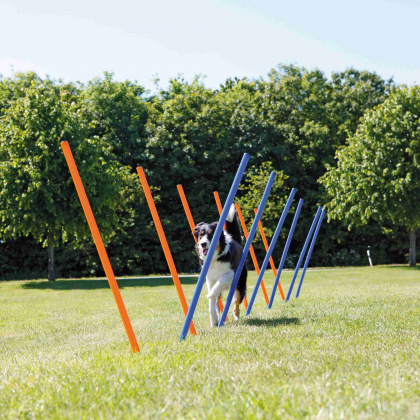 Trixie Agility Slalompinnar 12-pack - 3