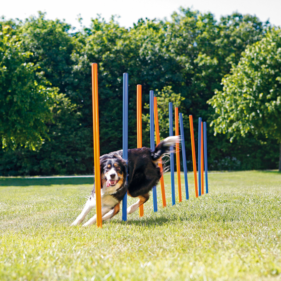 Trixie Agility Slalompinnar 12-pack