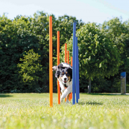 Trixie Agility Slalompinnar 12-pack - 2