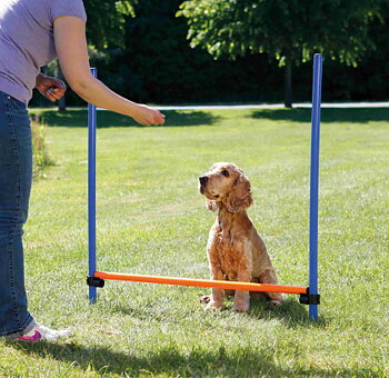 Trixie Agility Hopphinder   