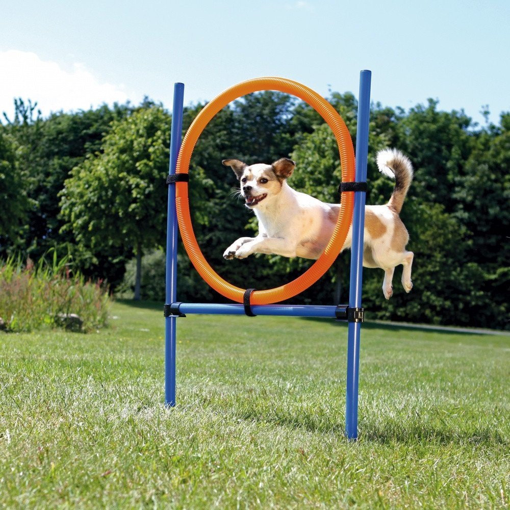 Trixie Agility Hoppring