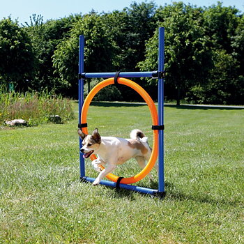 Trixie Agility Hoppring