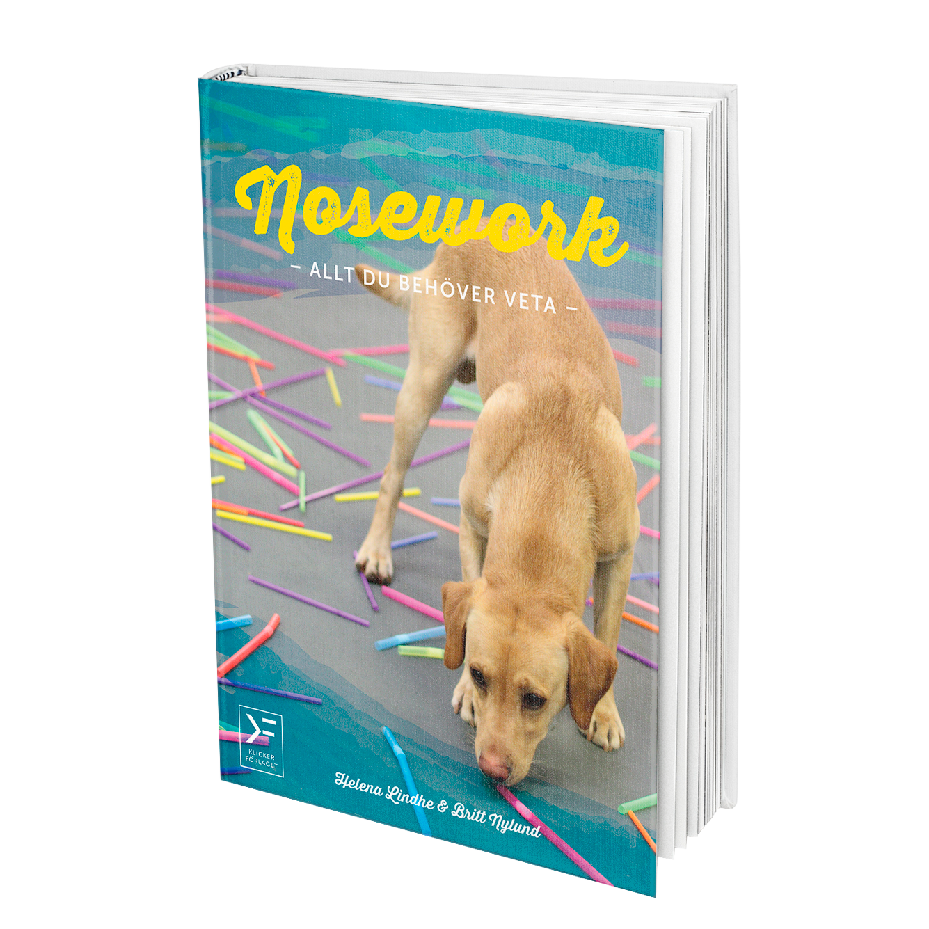 Nosework - Allt du behöver veta 