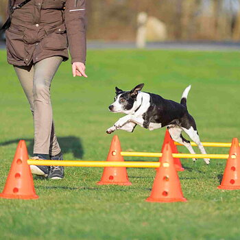 Trixie Dog Activity Hinderset, 6 koner 3 hinder