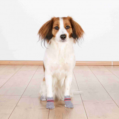 Trixie Hundstrumpor - 4