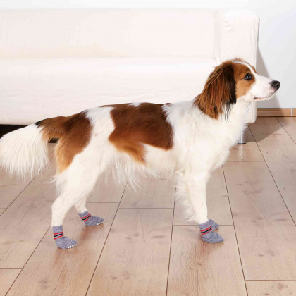 Trixie Hundstrumpor - 3
