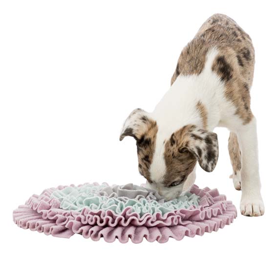 Trixie Junior Aktivitetsfilt Sniffing Carpet, ø 38 cm - 8