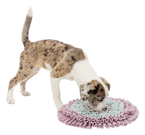 Trixie Junior Aktivitetsfilt Sniffing Carpet, ø 38 cm - 7