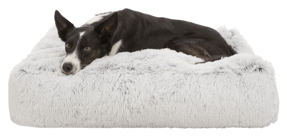 Trixie Harvey Hunddyna Vit/svart, flera storlekar  - 2