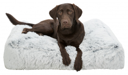 Trixie Harvey Hunddyna Vit/svart, flera storlekar  - 3