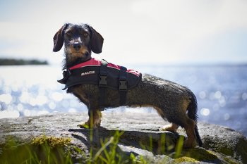 Baltic Hundflytväst Mascot, Rosa 