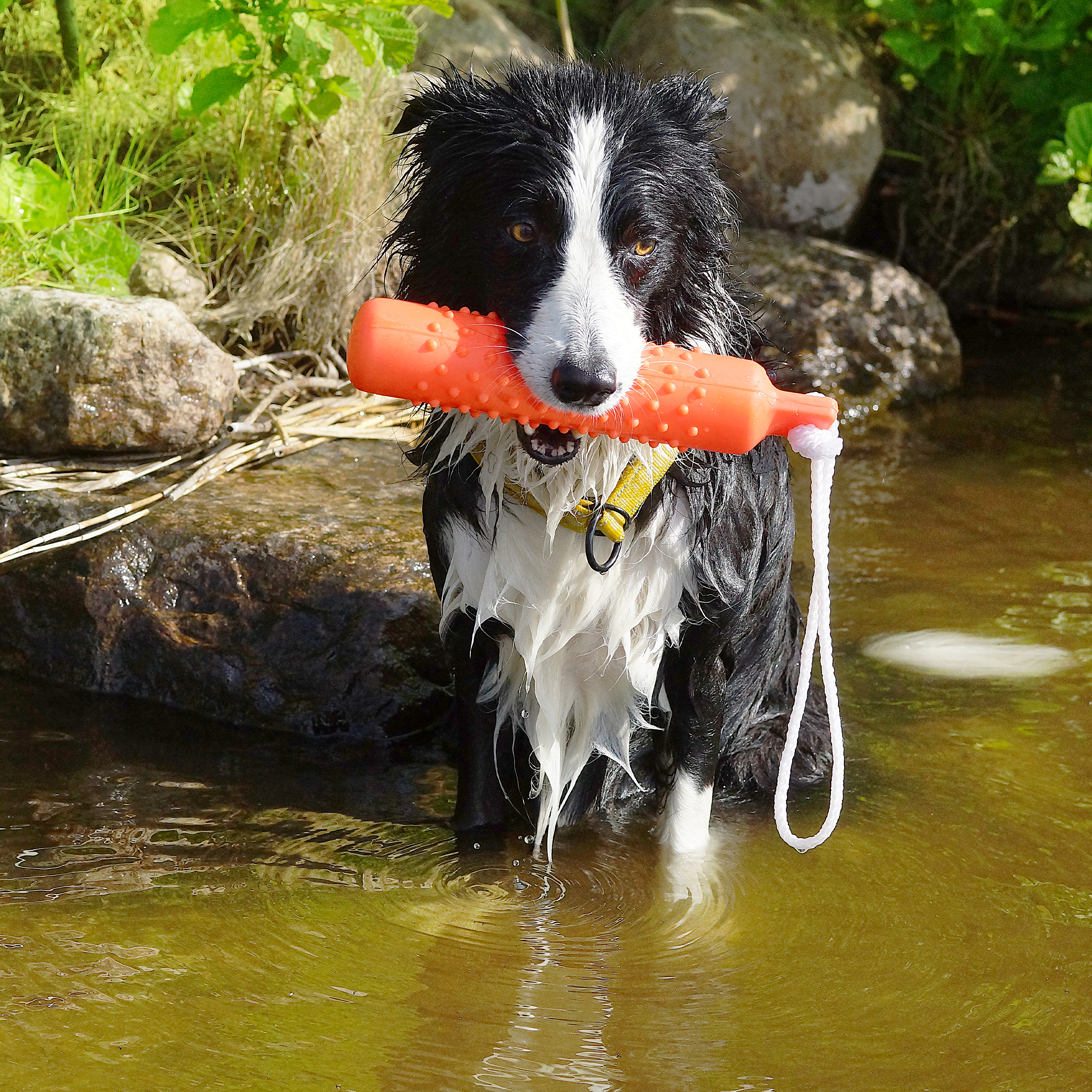 Dogman Vattenleksak Dummie  26 cm - 5