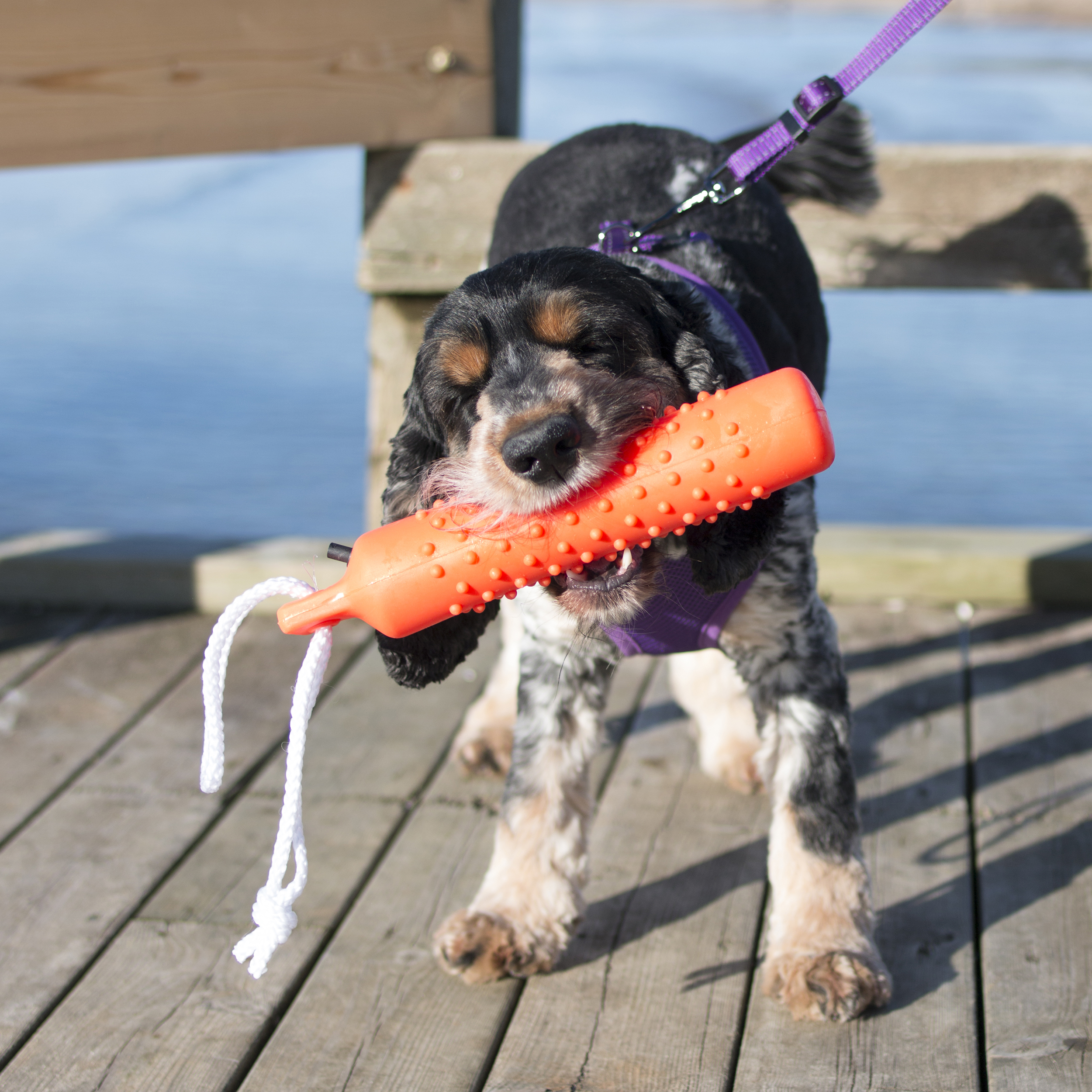 Dogman Vattenleksak Dummie  26 cm - 3