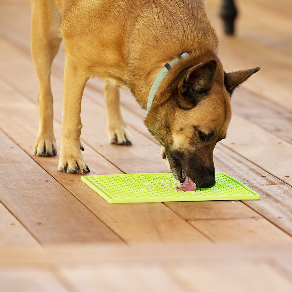 LickiMat Buddy Slickmatta Grön 20x20 cm - 3
